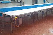 Meat-Processing-Conveyor used