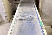 Belt-Conveyor-Technipes used